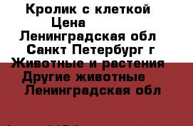 Кролик с клеткой › Цена ­ 2 000 - Ленинградская обл., Санкт-Петербург г. Животные и растения » Другие животные   . Ленинградская обл.